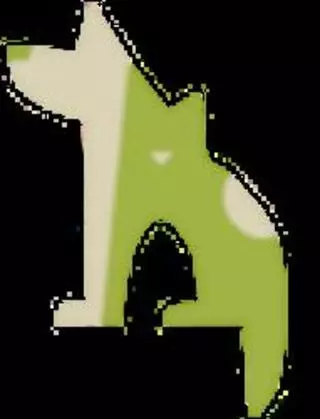 Advanced Veterinary Dentistry
