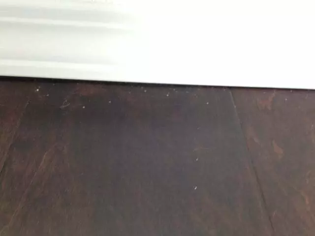 Andy’s Painting