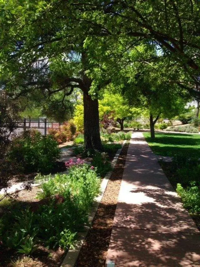 Albuquerque Garden Center