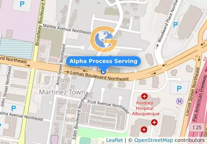 Alpha Process Serving