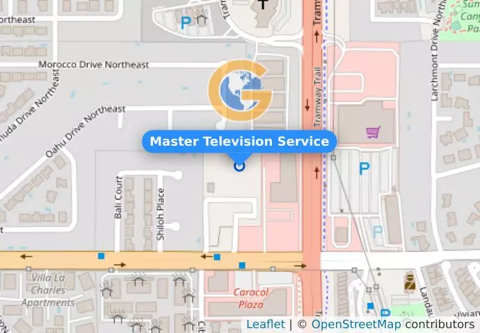 Master Television Service